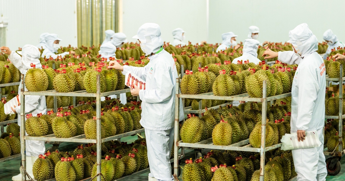 Trung Quốc thay đổi quy định mới, xuất khẩu nông sản, thực phẩm cần lưu ý gì?