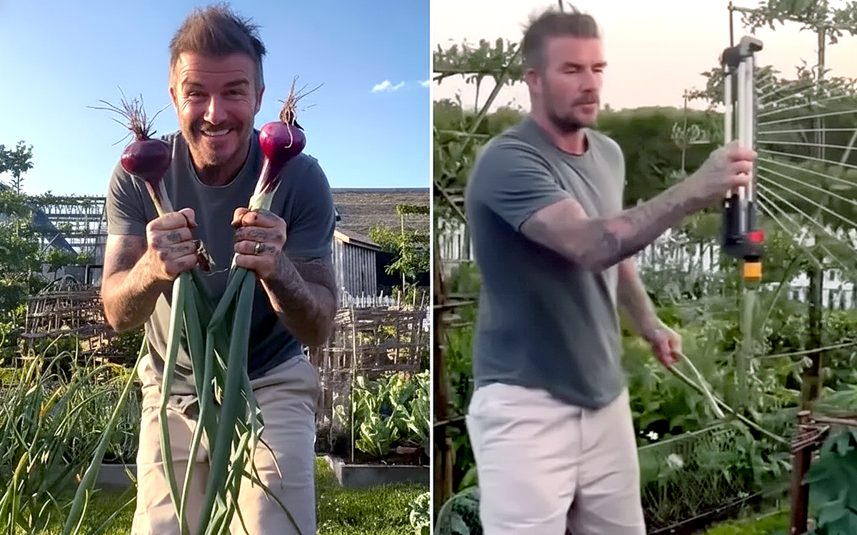 Hết khoe cà rốt, David Beckham khoe hành