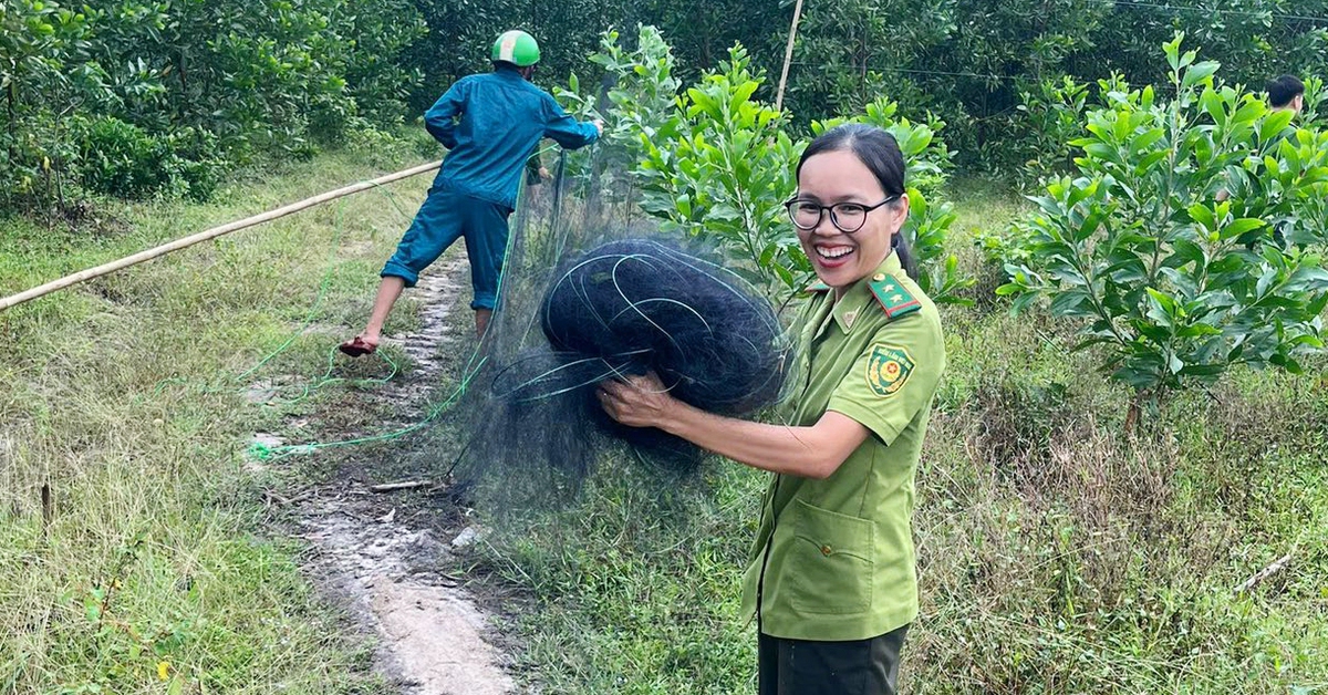 Thiên la địa võng lưới ma bẫy chim trời