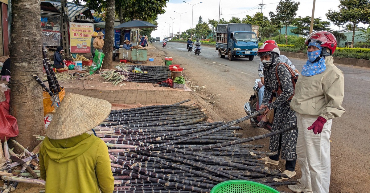 Chợ 9 tỉ bỏ hoang chục năm, chợ tự phát tràn ra quốc lộ 14, tiểu thương 'né' thuê và thuế?