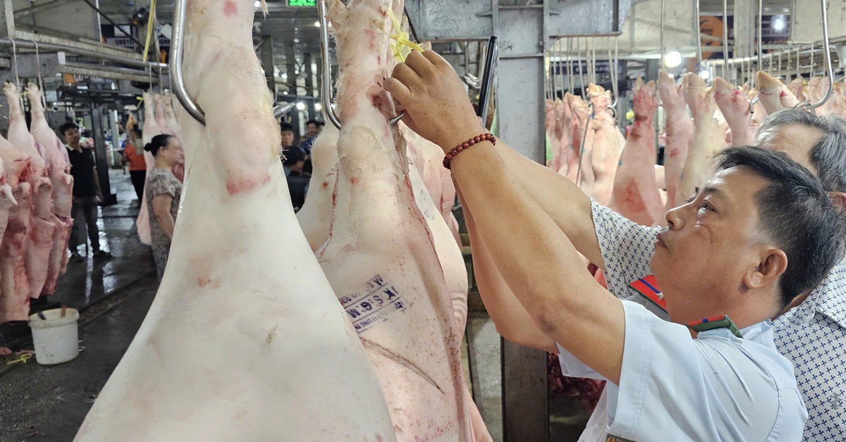 TP.HCM thí điểm sàn giao dịch thịt heo trong năm 2025