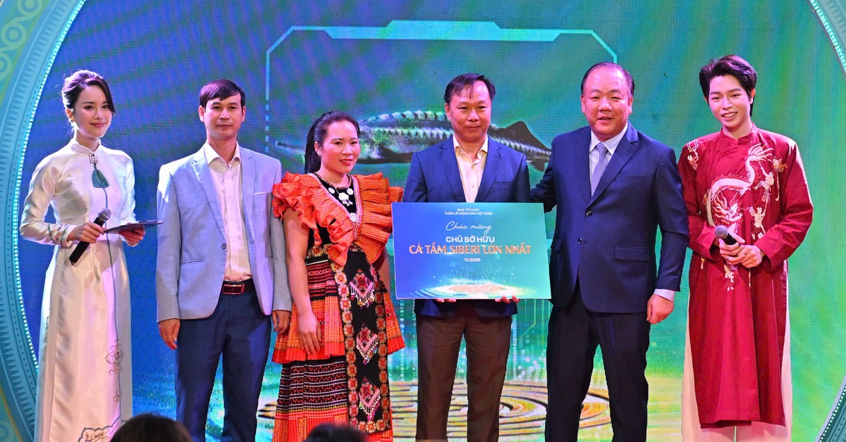 Ca sĩ Đức Phúc mở màn phiên đấu giá cá tầm nặng 50kg, người thắng là ai?