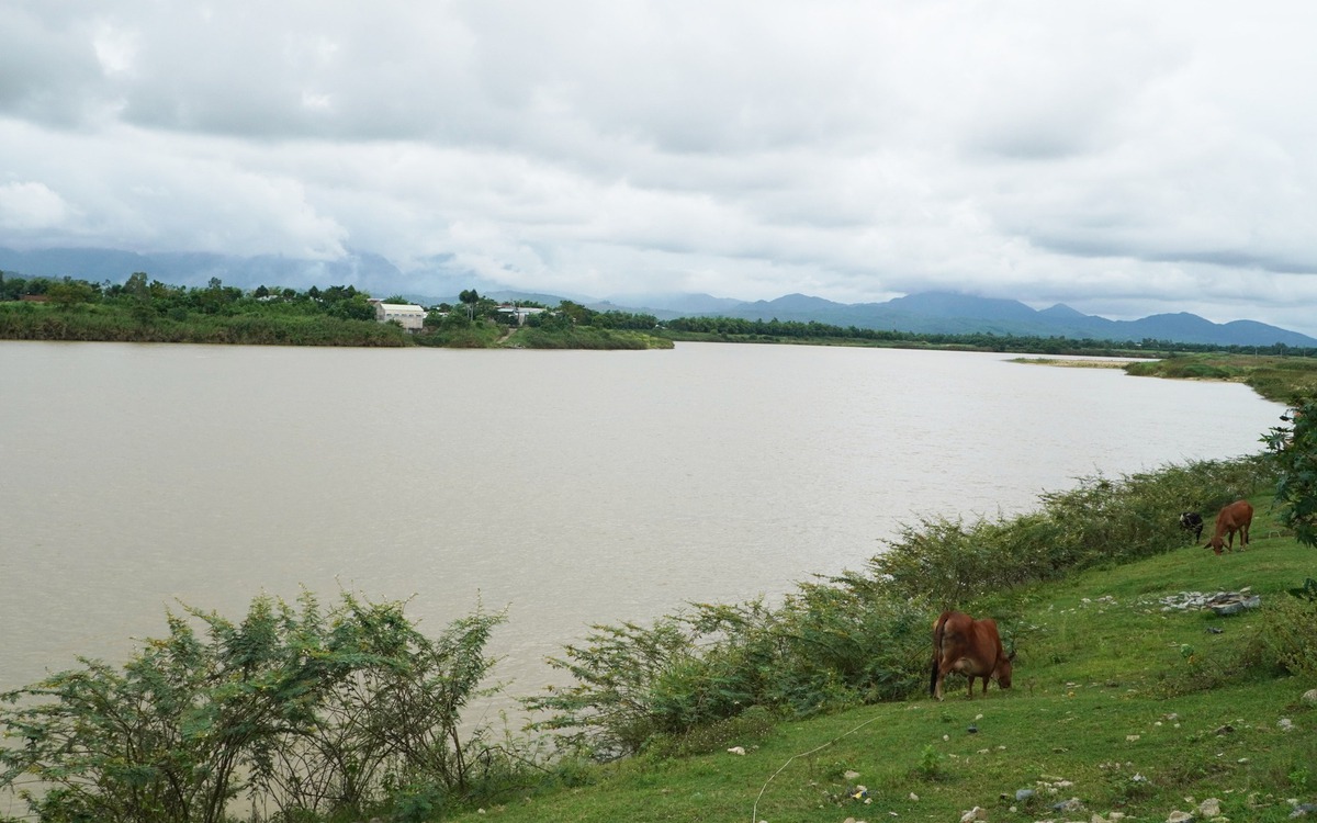 Thiếu niên 15 tuổi đi khỏi nhà, mất tích, thi thể được tìm thấy trên sông Thu Bồn