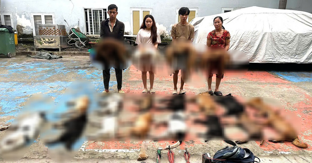 Bắt kẻ trộm chó thủ sẵn bột ớt để chống trả khi bị truy đuổi