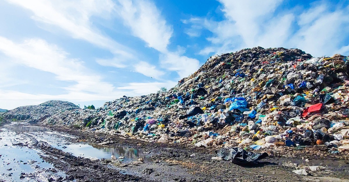 Phú Quốc cấm đốt rác, thả rông vật nuôi nơi công cộng