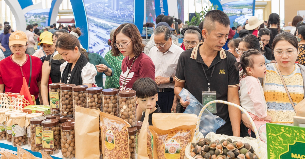 Hội chợ Mùa thu lần thứ nhất - 2025: Không gian sống động, trải nghiệm bất tận mỗi ngày ở VEC