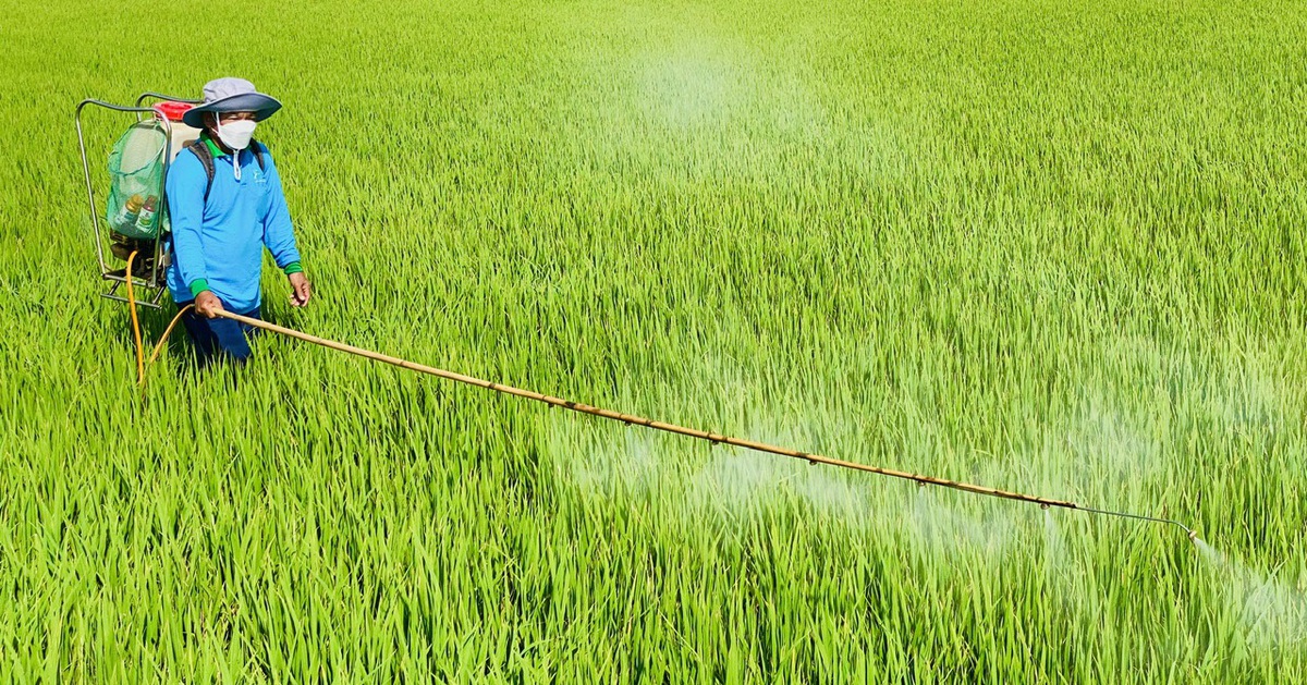 Dự kiến lộ trình cấm sản xuất, dùng thuốc trừ sâu chứa hoạt chất carbosulfan, benfuracarb ở Việt Nam