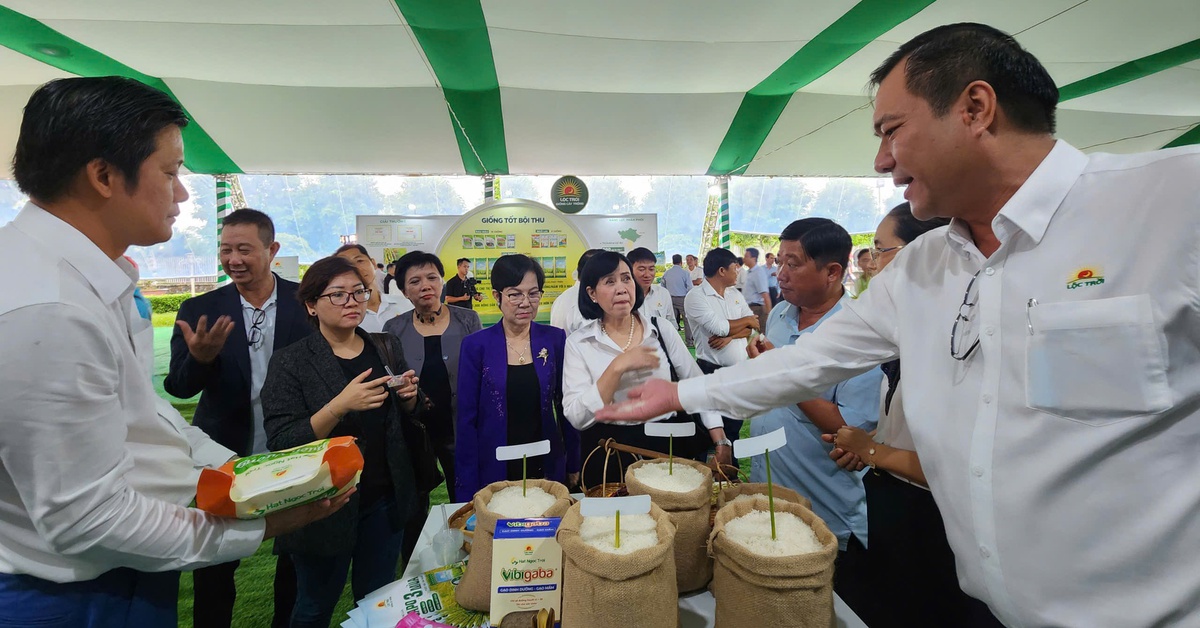 Cần có thương hiệu gạo và sản xuất lúa giảm phát thải