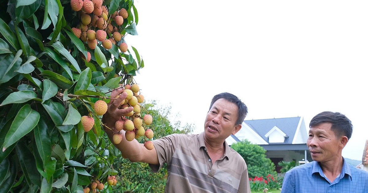 Thỏa thuận mới về thuế đối ứng: Mặt hàng nào có cơ hội hưởng thuế 0%?