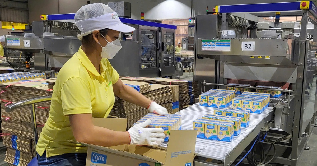 Chủ loạt thương hiệu sữa đậu nành Fami, Mộc Châu Milk, Hanoimilk cùng báo lãi sụt mạnh