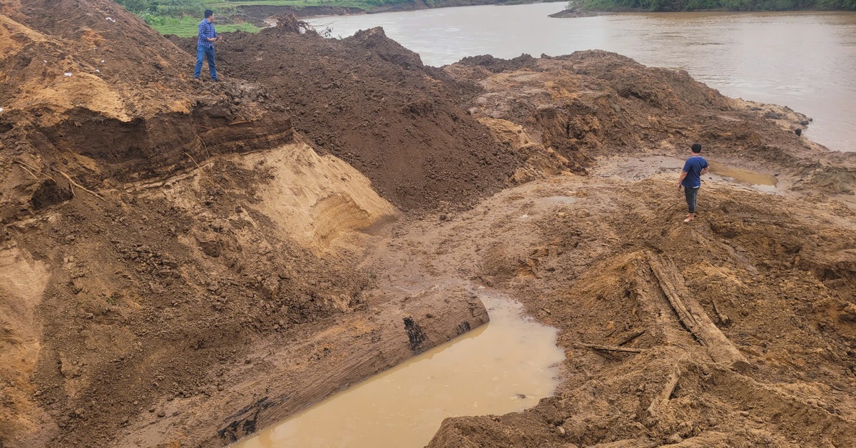 Gia Lai: Xác minh nhóm người đào cây gỗ 'khủng' cạnh sông Ayun