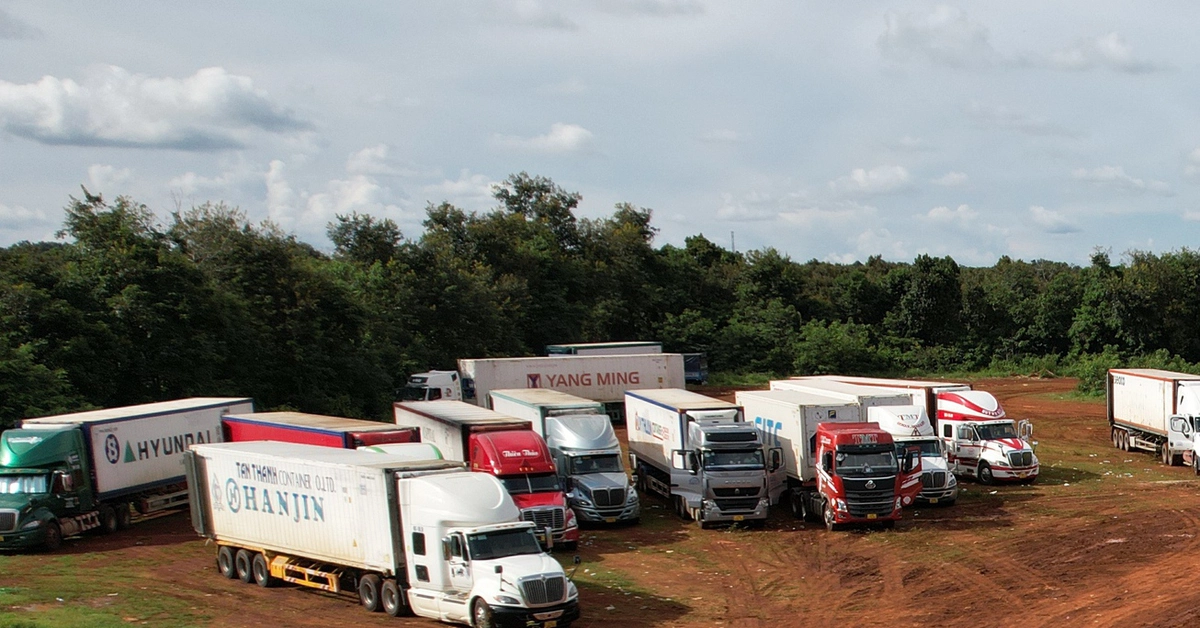 Gần 2.000 container sầu riêng bị ùn ứ, Đắk Lắk lên kế hoạch xây trung tâm kiểm nghiệm