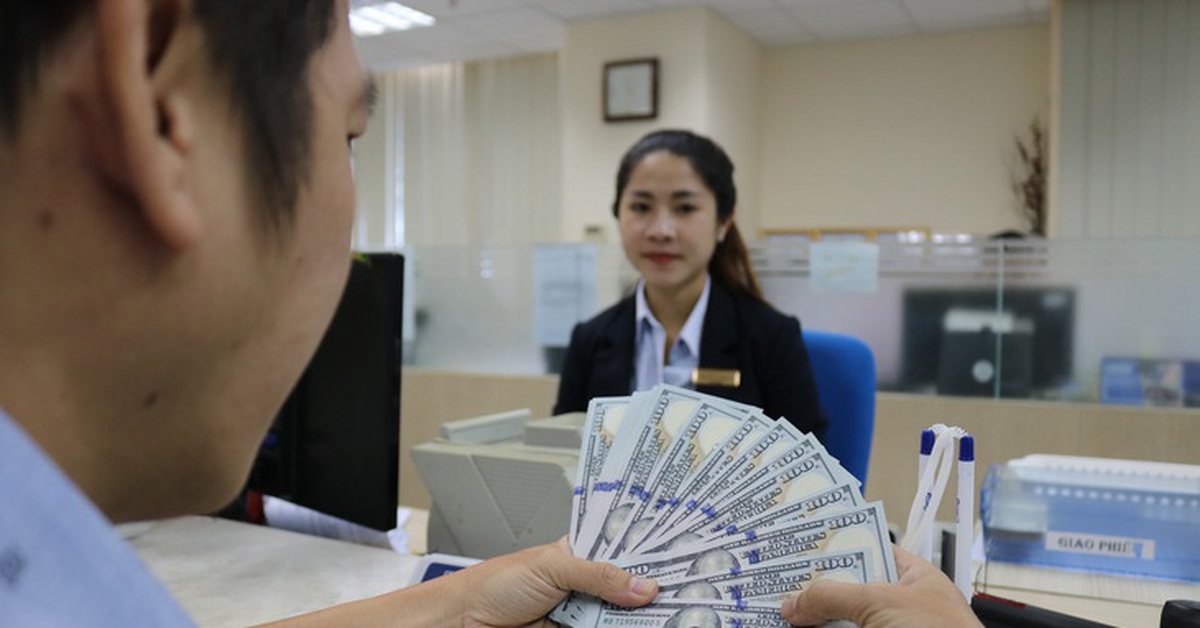 Thanh, kiểm tra hoạt động mua bán ngoại tệ của các tổ chức tín dụng