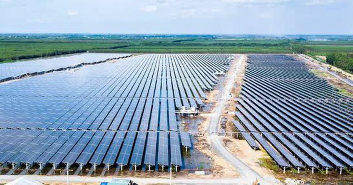 Cổ phiếu bị đình chỉ, Bamboo Capital và Tracodi xin lỗi cổ đông