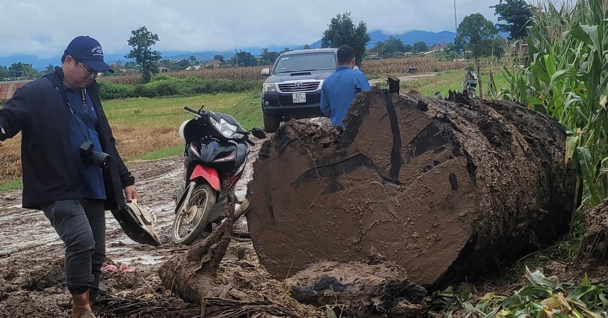 Giao công an làm rõ nhóm người lạ đưa xe múc đào bờ sông Ayun để lấy gỗ 'khủng'