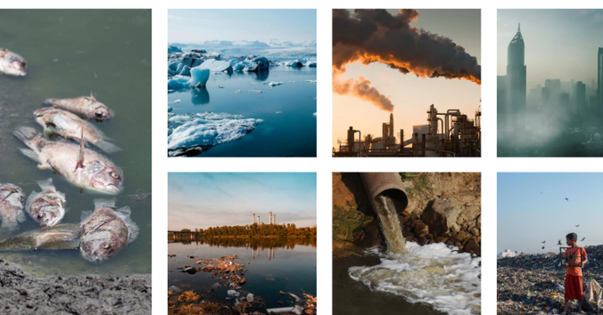 Trái đất 'sốt' cao chưa từng thấy, 22 chỉ số sinh tồn đều báo động đỏ