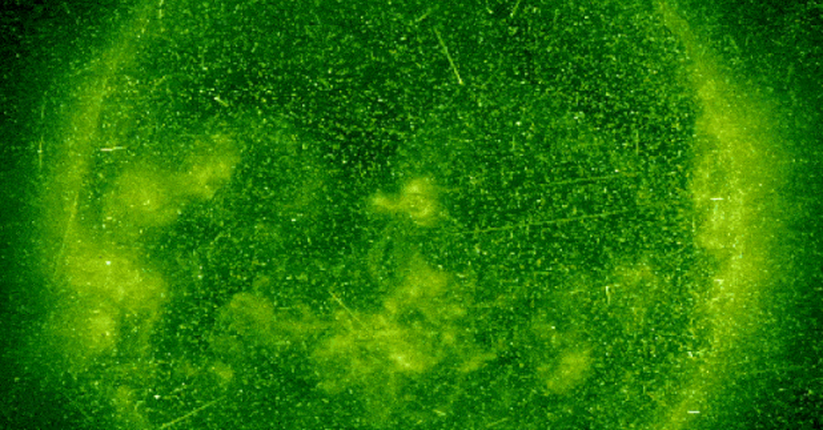 Siêu bão Mặt trời cấp Carrington tiếp theo sẽ xóa sổ toàn bộ vệ tinh của con người?