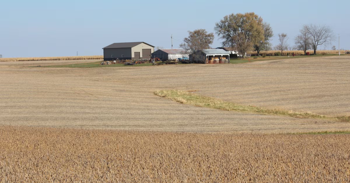 Trung Quốc cam kết mua 75 triệu tấn đậu nành Mỹ trong 3 năm tới