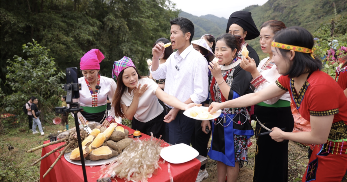 Livestream bán được hơn 300 tấn sâm đất cho dân tộc vùng cao, thiểu số