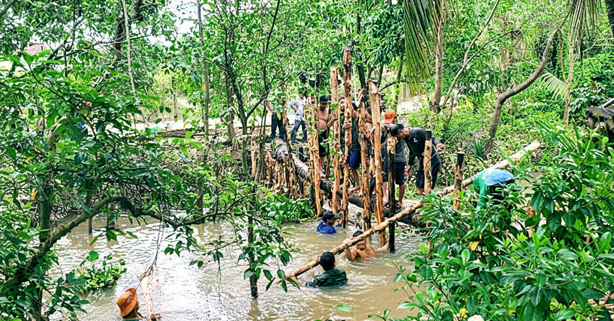 Nhiều vườn cây ăn trái thiệt hại nặng do triều cường bất thường