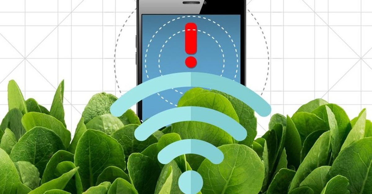 Các nhà khoa học đã dạy cải bó xôi gửi email?