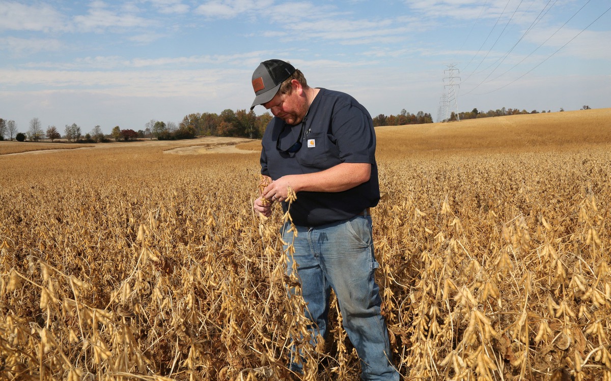 Mỹ chuẩn bị tung gói cứu trợ 10 tỉ USD cho nông dân thiệt hại vì thương chiến