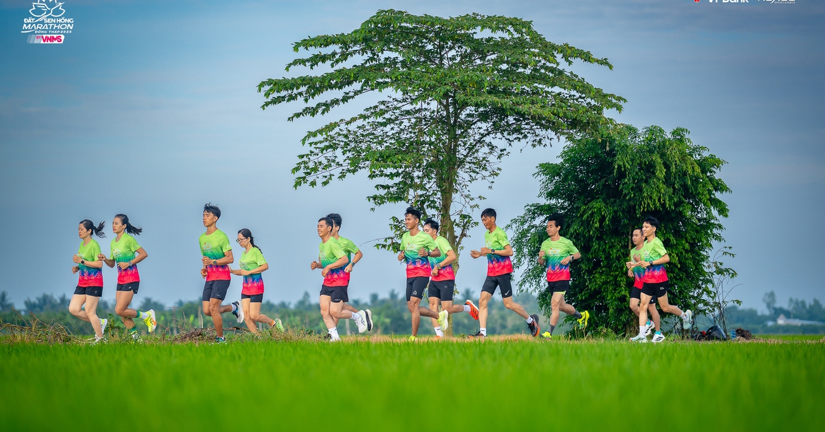 12.800 vận động viên tham gia giải VPBank Đất Sen Hồng Music Marathon 2025