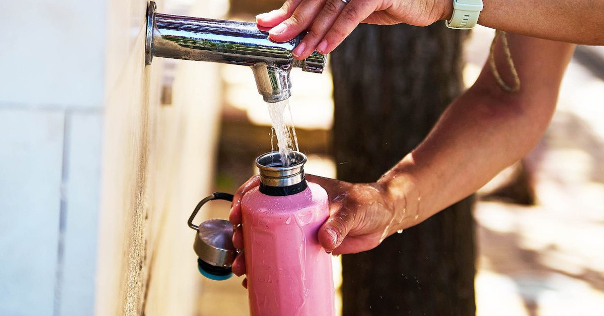 Bình nước tái sử dụng là 'ổ chứa' vi khuẩn