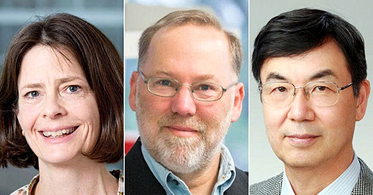 Nobel Y sinh 2025: Mở ra kỷ nguyên mới của miễn dịch học