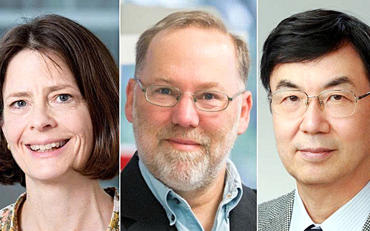 Nobel Y sinh 2025: Mở ra kỷ nguyên mới của miễn dịch học