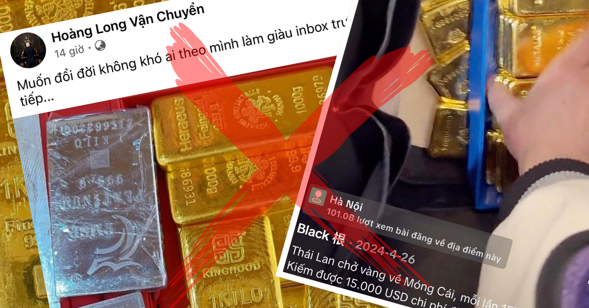 Bẫy 'cầm hộ' vàng qua biên giới