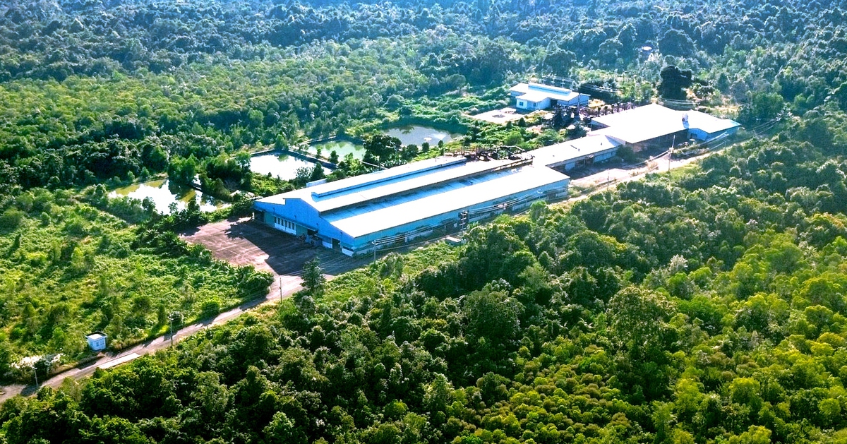 Phú Quốc trải thảm đỏ mời gọi nhà đầu tư xử lý rác, nước thải đón APEC 2027