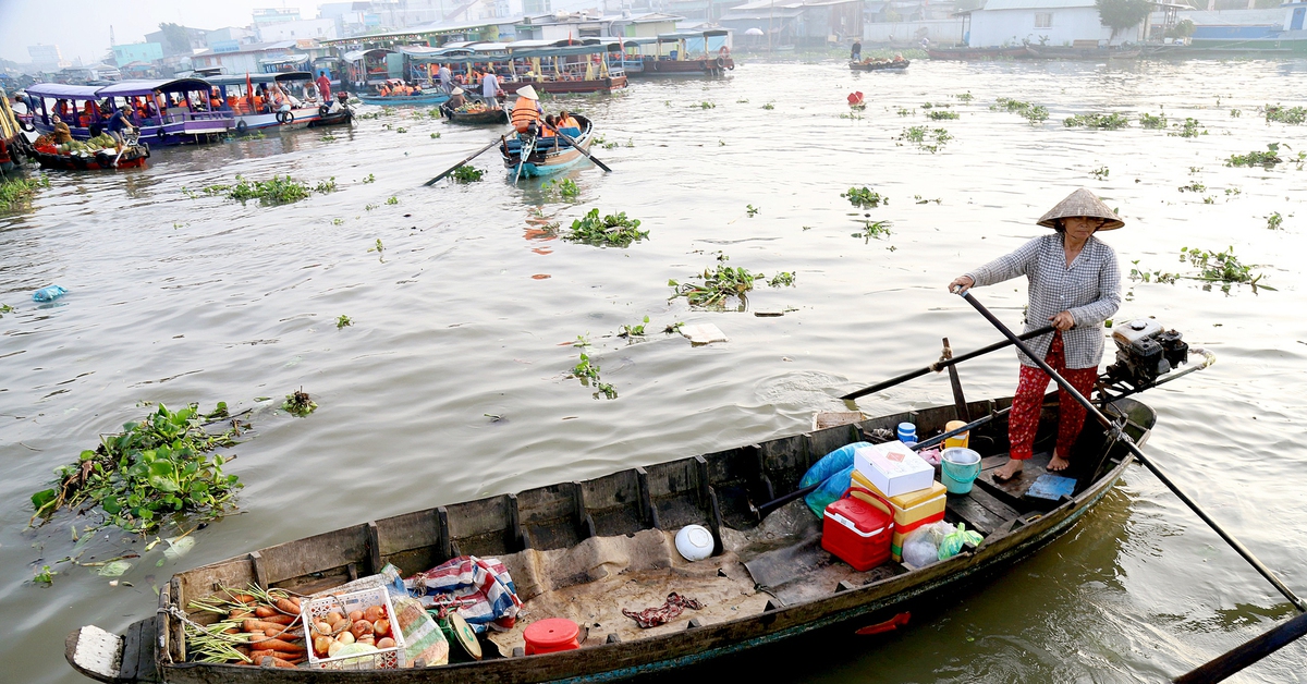 Mật độ rác nhựa ven sông ở đô thị Cần Thơ gấp 3 lần ở nông thôn