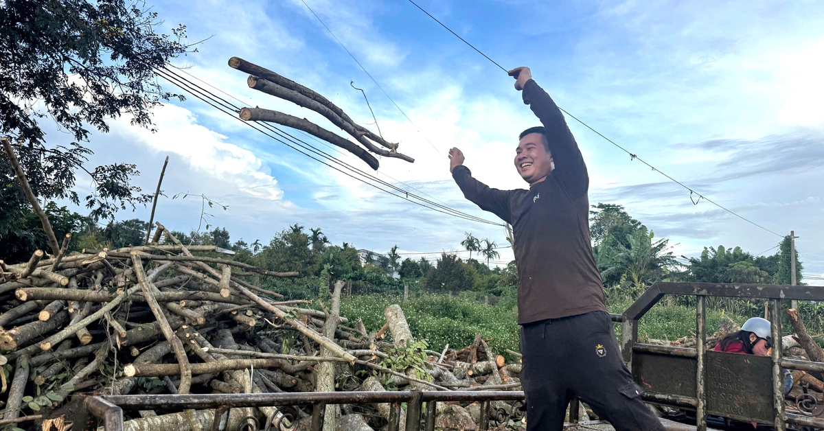 Củi tạp quanh vườn thành ván ép, viên nén gỗ... đi xuất khẩu