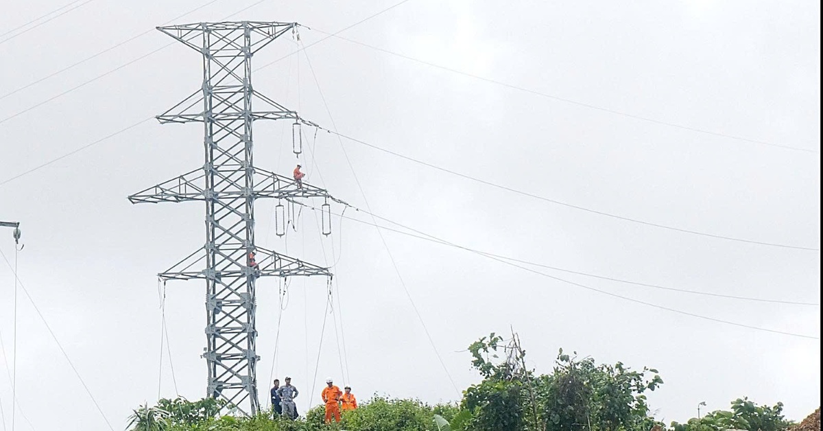 Khắc phục sự cố ngã cột 110kV, cấp điện trở lại cho khu vực phía tây Đà Nẵng sau 5 ngày