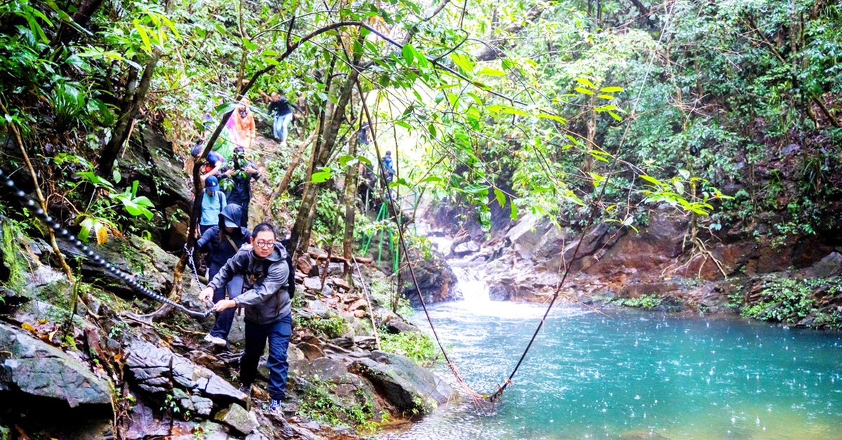 May mà Bạch Mã còn rừng!