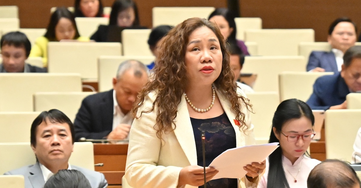 Đại biểu Quốc hội hiến kế phát triển 'nền kinh tế tóc bạc' ở Việt Nam