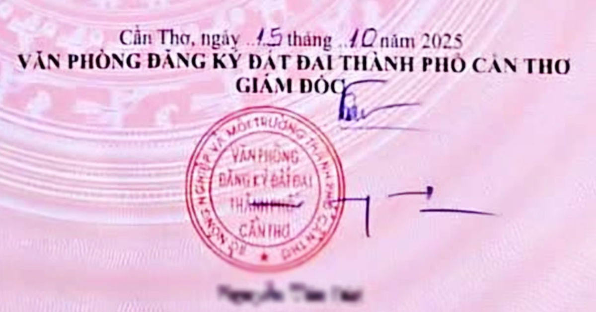 Chữ ký của giám đốc toàn nét gạch ngang dọc có ảnh hưởng đến tính pháp lý của giấy chủ quyền?