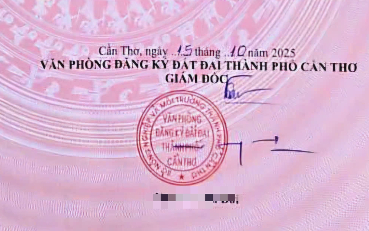 Chữ ký của giám đốc toàn nét gạch ngang dọc có ảnh hưởng đến tính pháp lý của giấy chủ quyền?