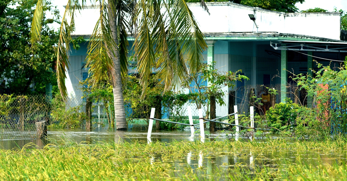 Ngập lụt liên miên ở Bình Thuận cũ, thủy lợi nói xả lũ đúng quy trình, dân không biết kêu ai