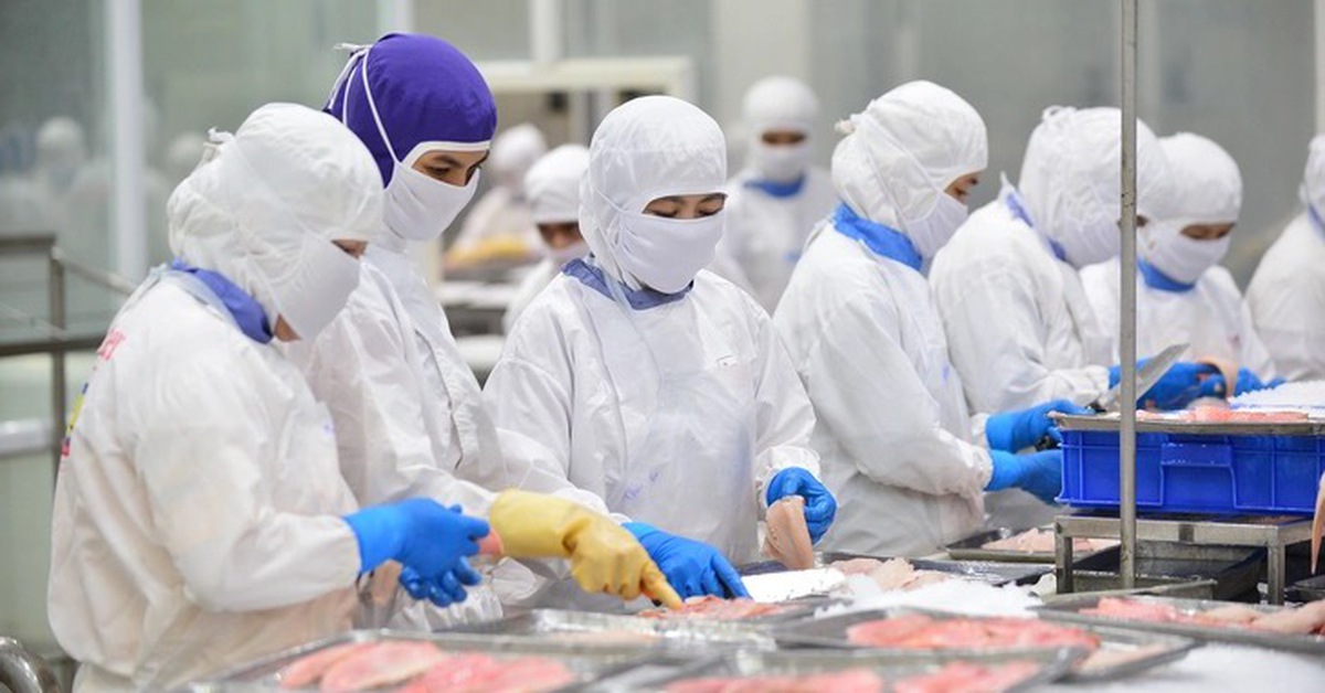 Lo xuất khẩu thủy sản chững lại cuối năm