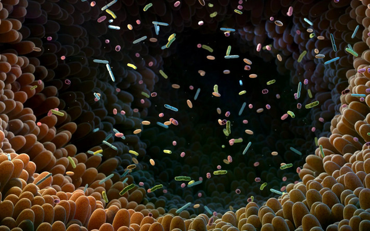 Nhà nghiên cứu Việt dùng AI 'giải mã' vi khuẩn đường ruột