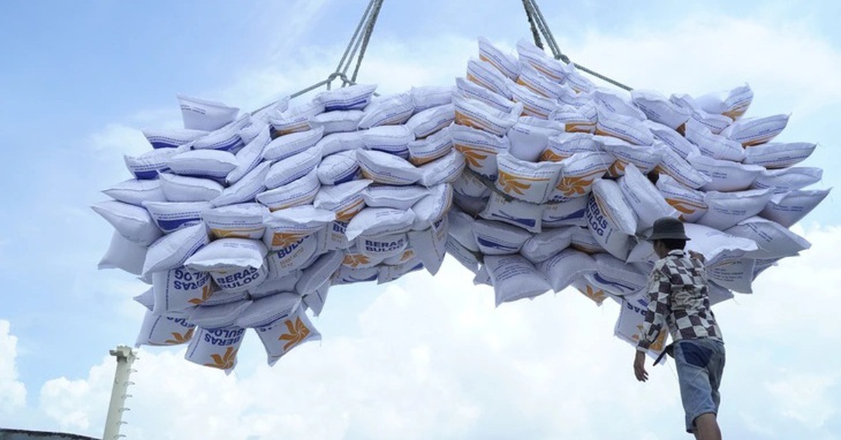 Tin tức sáng 12-11: 10 tháng xuất siêu hơn 19,5 tỉ USD; Số ca ngộ độc bánh mì ở TP.HCM lên gần 300