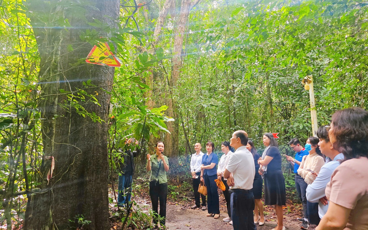 Khai mở tiềm năng để Hồ Tràm vươn tầm quốc tế