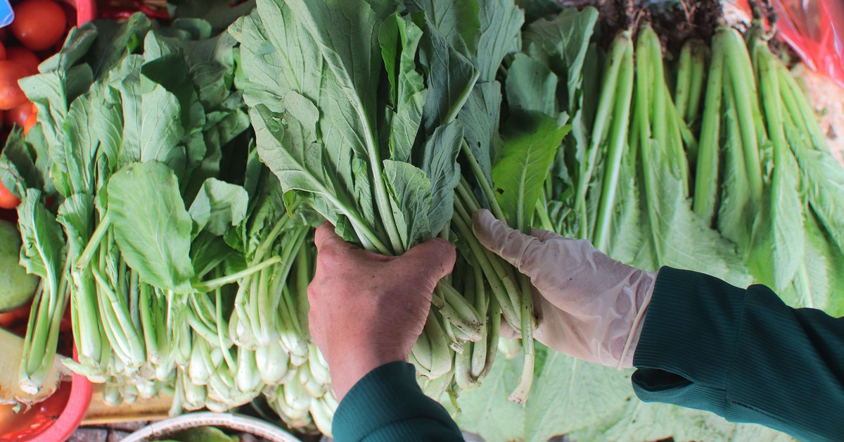 Bạn nên ăn bao nhiêu rau và trái cây mỗi ngày?