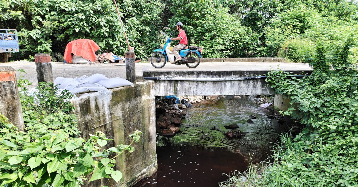 Yêu cầu xử lý dứt điểm nước rỉ từ bãi rác gây ô nhiễm khu dân cư ở Nha Trang