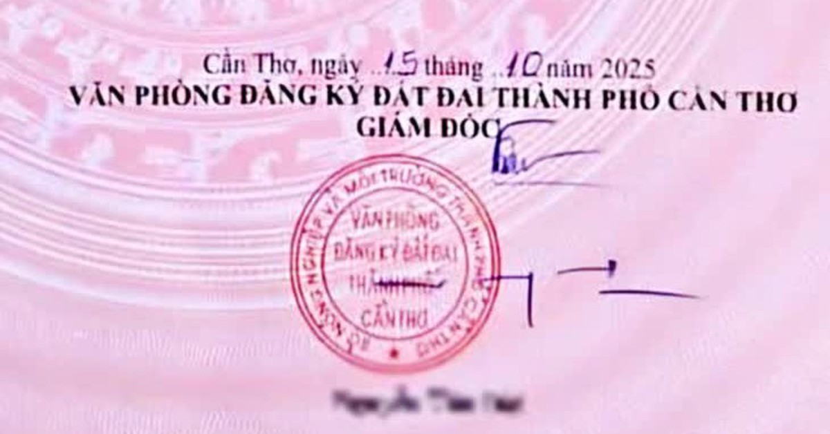 Chữ ký phải đẹp, phải khác nét gạch, không thể toàn nét ngang nét dọc?