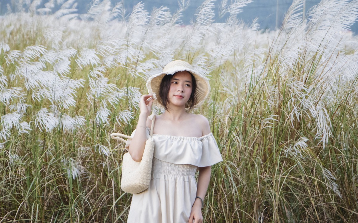 Mùa cỏ lau về, Đà Nẵng đẹp ngỡ ngàng những ngày cuối thu