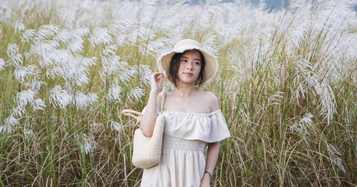 Mùa cỏ lau về, Đà Nẵng đẹp ngỡ ngàng những ngày cuối thu