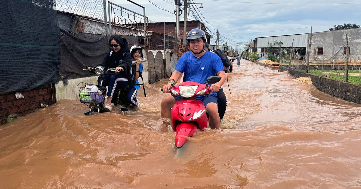 Mưa lớn kéo dài, hàng loạt đường ở Đồng Nai chìm trong nước, lụt qua quốc lộ 1